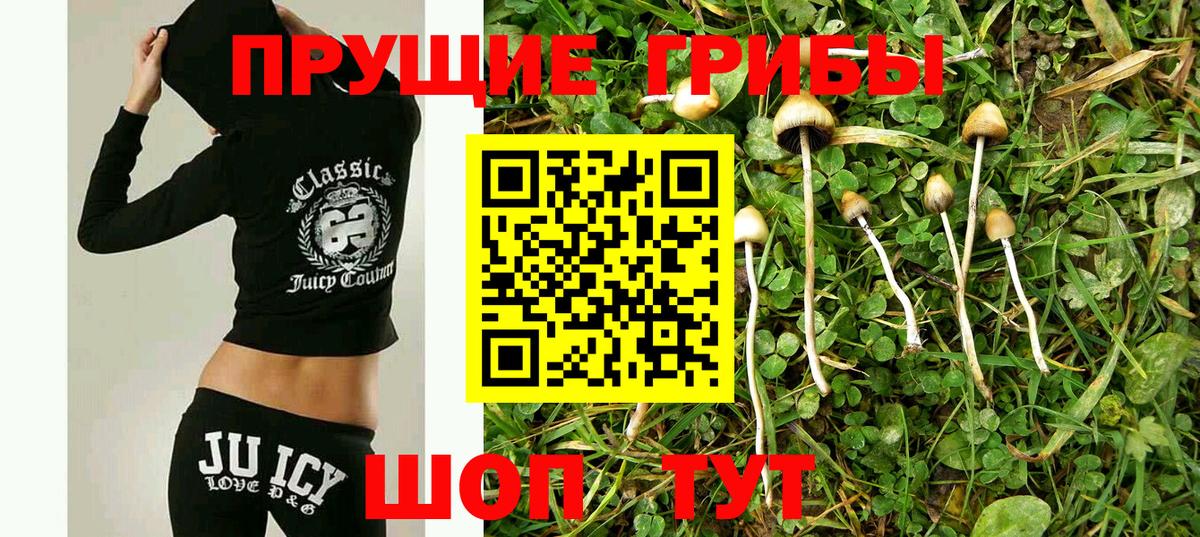 Галлюциногенные грибы Psilocybe  Галлюциногенные грибы GOLDEN TEACHER  Иваново  Вход с VPN 